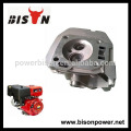 BISON (CHINE) Chine 6.5hp 168f moteur 200cc